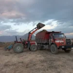 بیل جلوی دقایق